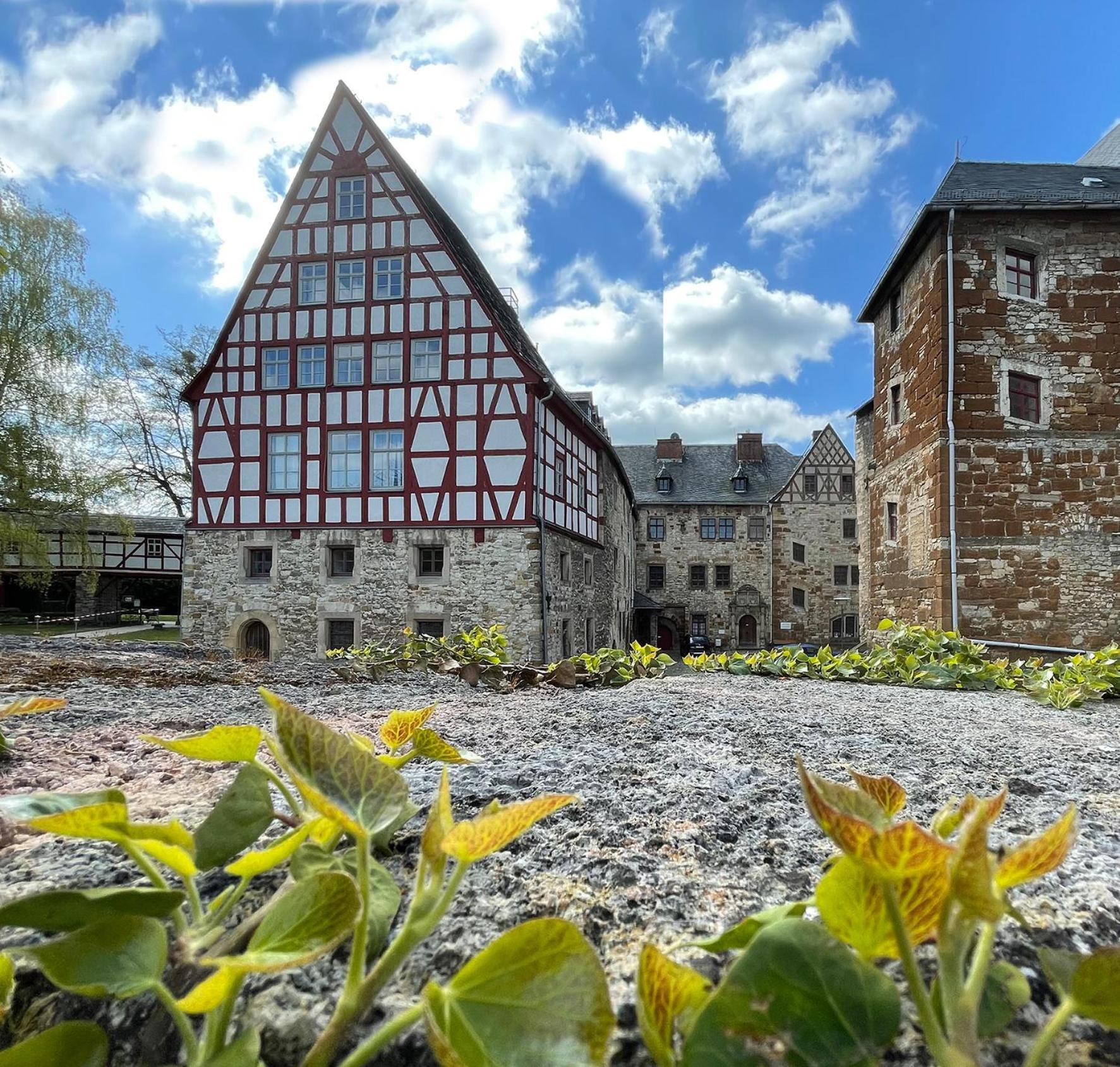 Schloss Beichlingen Eksteriør billede