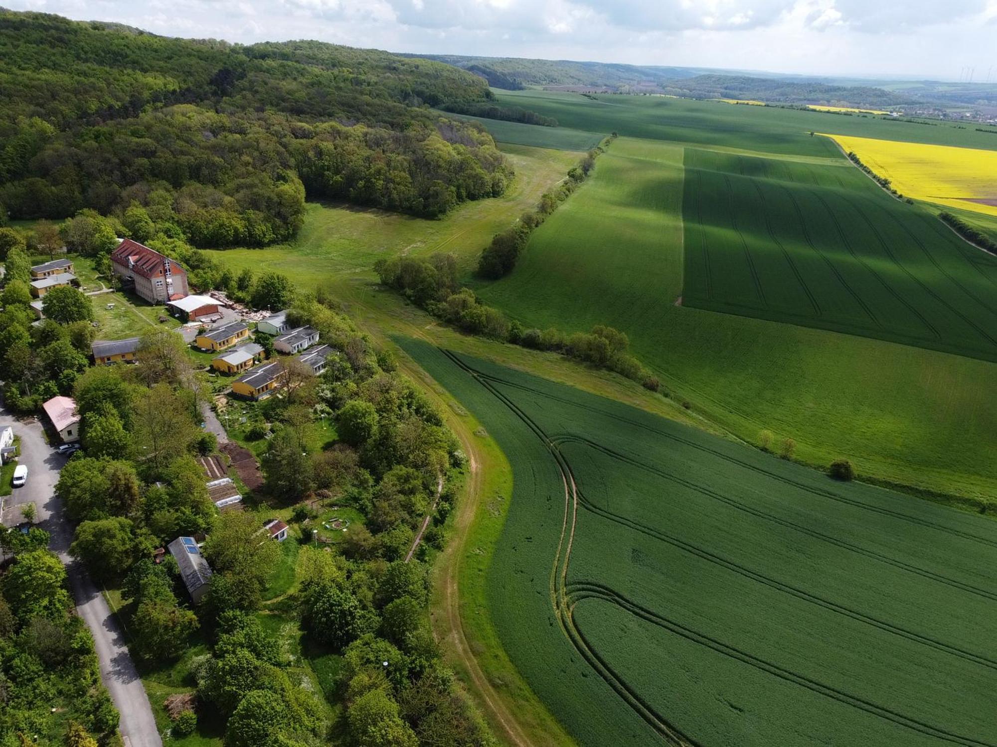 Schloss Beichlingen Eksteriør billede