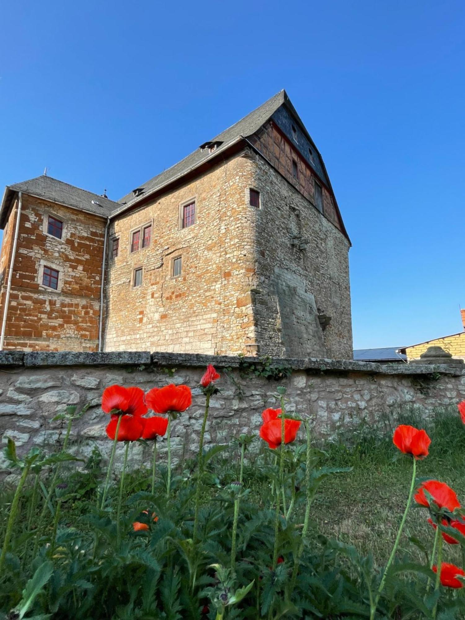 Schloss Beichlingen Eksteriør billede